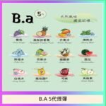 B.A 5代主機煙彈電子煙一盒三顆