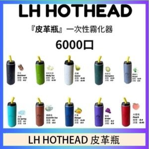 LH HOTHEAD皮革瓶電子煙可充電6000口一次性