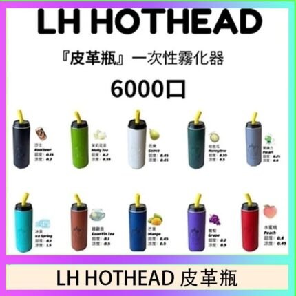 LH HOTHEAD皮革瓶電子煙可充電6000口一次性